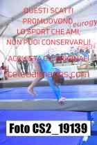 CS2_19139-