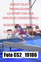 CS2_19186-