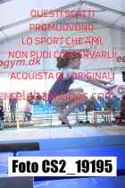 CS2_19195-