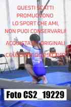 CS2_19229-