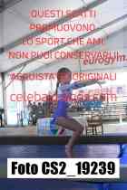 CS2_19239-