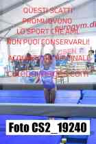 CS2_19240-