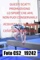 CS2_19242-