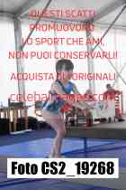 CS2_19268-