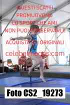 CS2_19273-