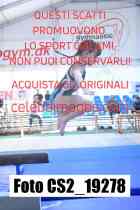CS2_19278-