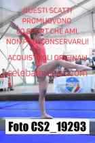CS2_19293-