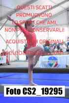 CS2_19295-