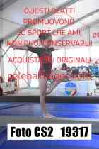CS2_19317-