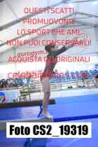 CS2_19319-