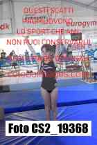 CS2_19368-