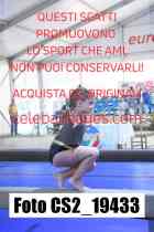 CS2_19433-