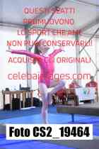 CS2_19464-