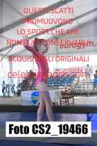 CS2_19466-