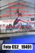CS2_19491-