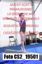 CS2_19501-