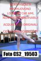 CS2_19503-
