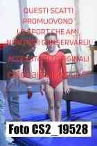 CS2_19528-