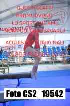 CS2_19542-