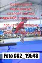 CS2_19543-