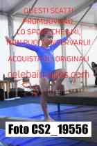 CS2_19556-