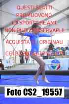 CS2_19557-