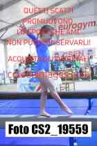 CS2_19559-
