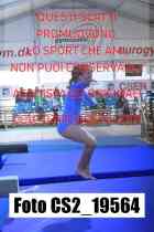 CS2_19564-