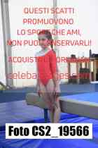 CS2_19566-