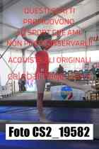 CS2_19582-