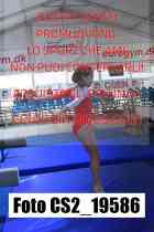 CS2_19586-