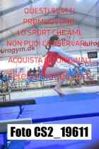 CS2_19611-
