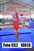 CS2_19613-