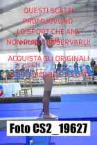 CS2_19627-