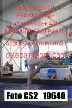 CS2_19640-