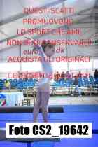 CS2_19642-