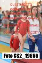 CS2_19666-