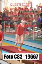 CS2_19667-