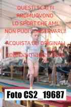 CS2_19687-