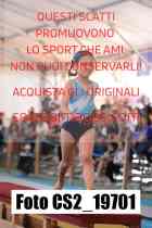 CS2_19701-