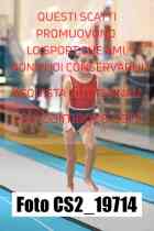 CS2_19714-