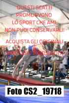 CS2_19718-