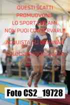 CS2_19728-
