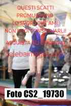 CS2_19730-