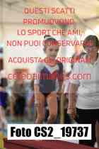 CS2_19737-
