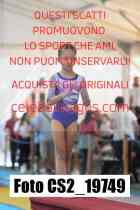 CS2_19749-