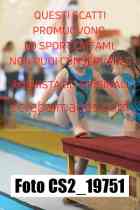 CS2_19751-