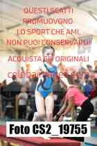 CS2_19755-
