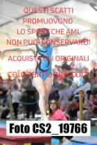 CS2_19766-