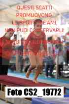 CS2_19772-